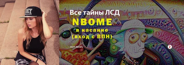 гидра Надым