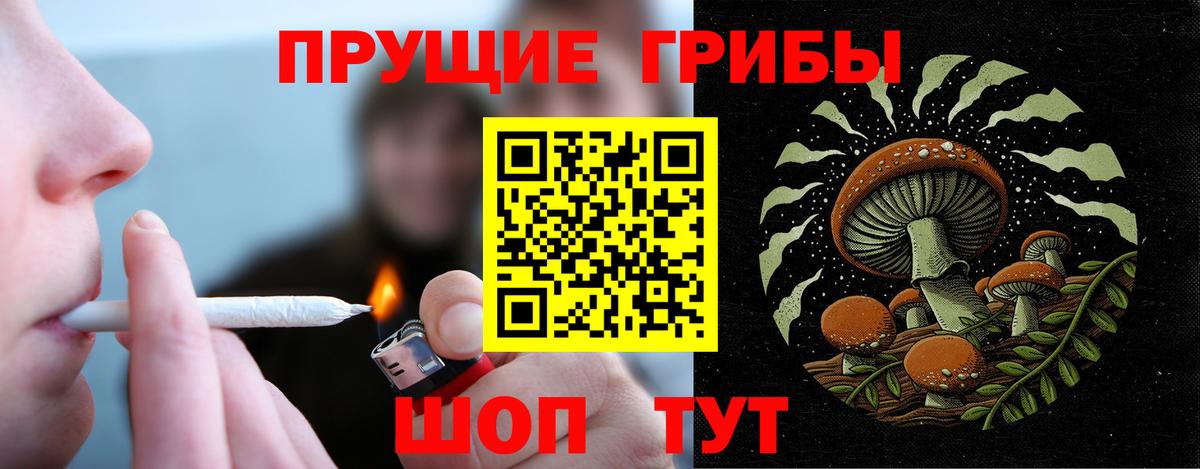 Псилоцибиновые грибы GOLDEN TEACHER Дзержинск